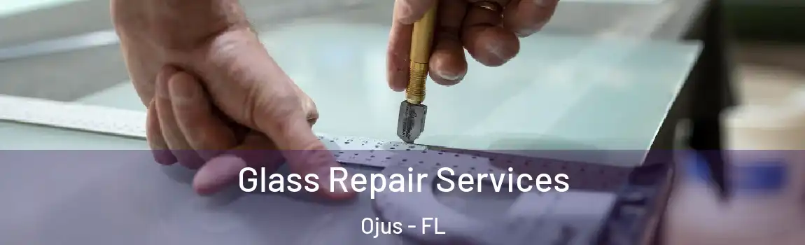  Glass Repair Services Ojus - FL