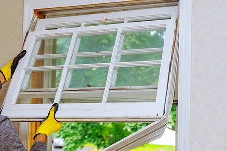 Window Replacement in Ojus, FL